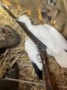 IMG_0862.jpeg