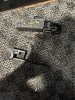 IMG_7019.jpeg