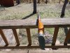 DSCN3074.JPG