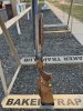 IMG_9508.jpeg