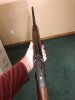 IMG_3726.jpeg
