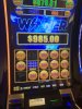 IMG_1395.jpeg