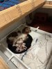 IMG_8378.jpeg