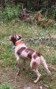IMG_0969.jpeg