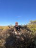 IMG_3540.jpeg