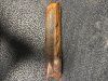 IMG_1273.jpeg