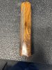 IMG_1265.jpeg