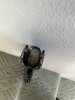 IMG_8506.jpeg