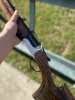 IMG_2613.jpeg