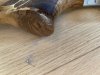 IMG_2301.jpeg