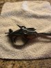 IMG_4495.jpeg