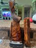 IMG_7016.jpeg
