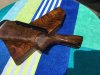 IMG_1209.jpeg
