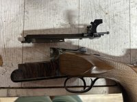 IMG_3897.jpeg