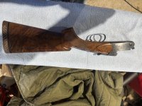 IMG_1947.jpeg