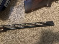 IMG_2970.jpeg