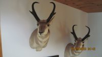 IMG_1464.JPG