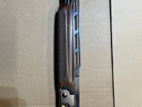 IMG_1341.jpeg