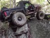 Bronco 2.jpg