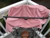 DSC00973.JPG