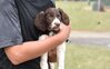 DSC_0763.JPG