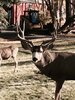 D34232A9-184B-4BD7-B293-A875C919B6C1.jpeg