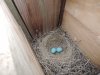 DSCN2632.JPG